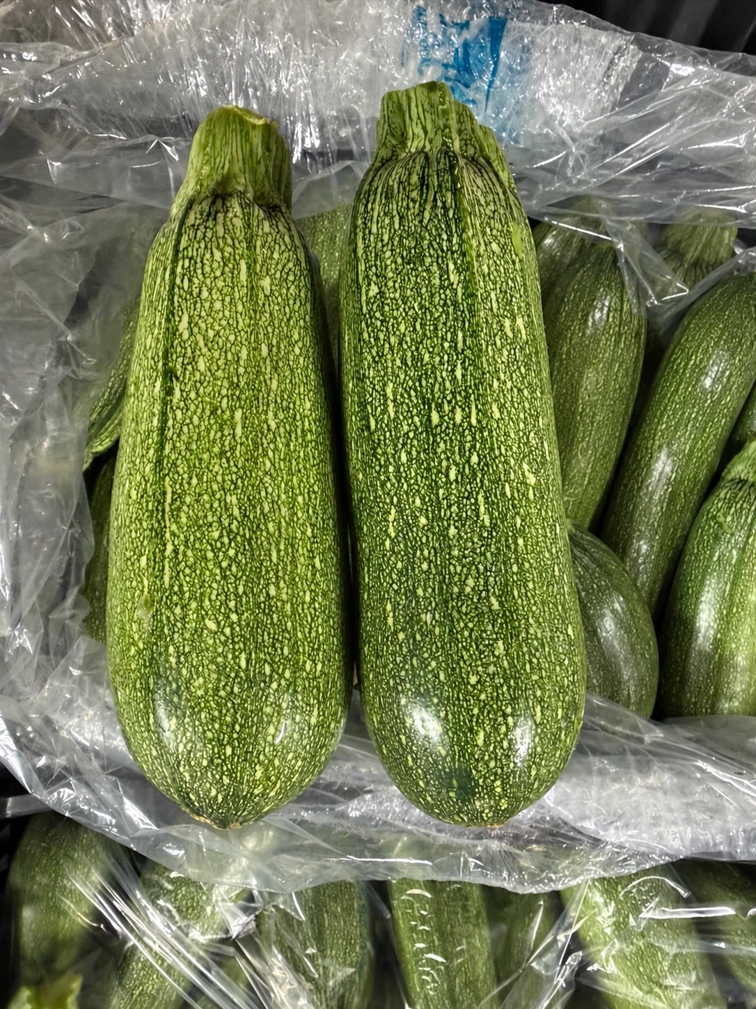 Two grey squash showing their green patterned skin